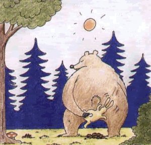 Medve kitörölte a seggét Nyuszikával